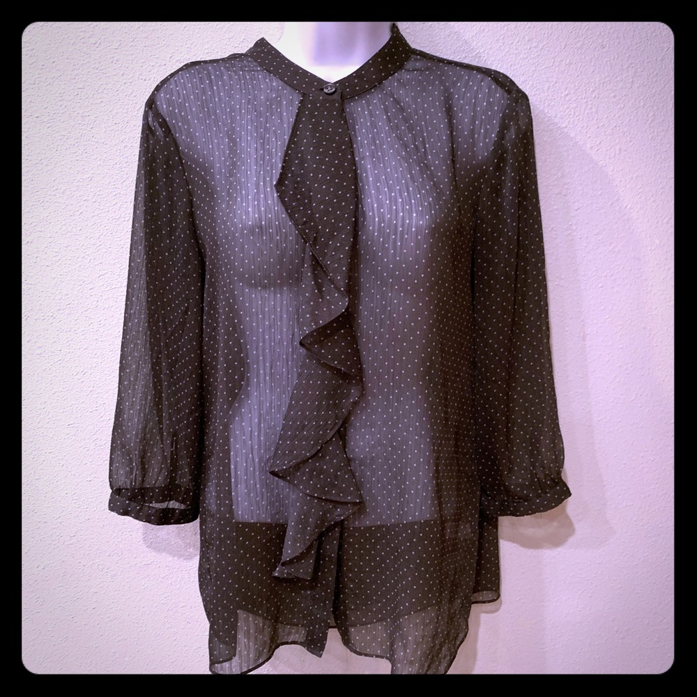 Banana Republic Sheer Blouse